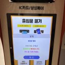 퀸애견 이미지