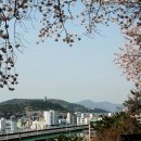 안민고개길 이미지