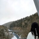 삿포로 비에이투어 소규모 버스투어 홋카이도랩 내돈내산 후기