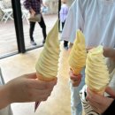 티피캠핑장 | 충주호가 내려다보이는 뷰 맛집! 감성까지 챙겨!! 퀸스타운 캠핑장 내돈내산 후기