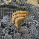 기찬식당 네이버블로그