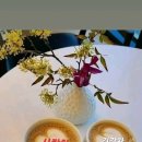 아프레 이미지