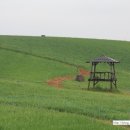 청보농장 이미지