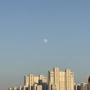 20260529 용인문화예술원 마루홀 연극 닫힌문 관람 후기
