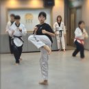 한양대 하나태권도장 네이버블로그