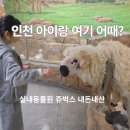 6582 | 인천 아이랑 가볼 만한 곳 쥬벅스 실내 동물원 내돈내산 후기