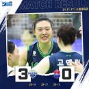 현대인삼 이미지