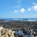 하모리-21 이미지