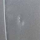 크라운덴트 이미지