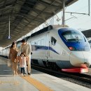평창 진부 김장축제 : 일정, 예약 방법, 체험 프로그램까지!