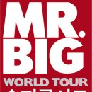 미스터빅 이미지