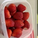 The 건강하게 야무지개 | [쌍둥이 임신 29주]자궁경부길이 0.6cm 유지 / 고위험산모 장기입원 일상 / 두바이찰떡쫀득쿠키 후기