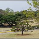 달성공원 이미지