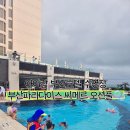 아이와 함께 파라다이스 호텔 부산 수영장 후기!