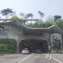 1호터널 중앙일보