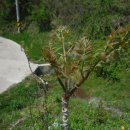 가실농장 이미지