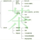 차의 종류와 분류 이미지