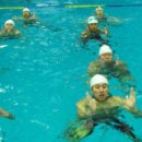 라이프가드 이미지