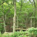 신선약수터 이미지