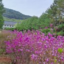 경주 - 천년숲 정원 이미지