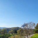 편안한부동산중개사무소 이미지