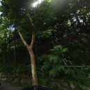 모텔더숲 이미지