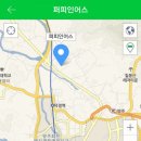 퍼피 인 어스 이미지