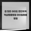 아이힐 동물병원 | 겁 많은 아이도 편안하게 역삼동물병원 아이힐동물병원