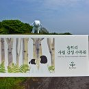 솔트리수목원 이미지