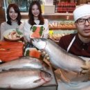 국민연어 이미지