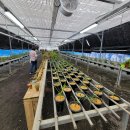 한란전시관 이미지