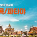 오렌지투어 이미지