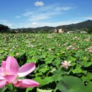 주남펜션민박 이미지