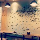 리도안경 이미지