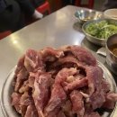 장수갈매기 이미지