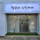쉘모아스킨케어 네이버블로그
