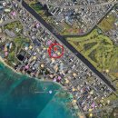 비앤비 인터내셔날 | [하와이 가족 여행] 가성비 1등 에어비앤비 '로얄 쿠히오 리조트' 후기 (수영장 완비, 코스트코 고기...