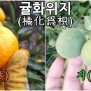 오부자농장 이미지