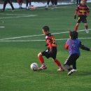 전주조촌초등학교 이미지