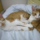 형제종합동물병원 이미지