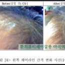 환희헤어라인 - 동구 송현동 | 환희헤어라인