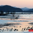 창녕 우포늪 이미지