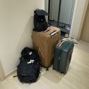 베트남 다낭 6박7일 여행 (하얏트리젠시 리조트)