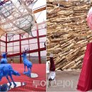 영월Y파크(술샘박물관) 이미지