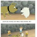 검정고무신 이미지