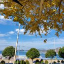 평림초등학교 이미지