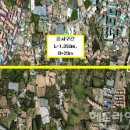 제주중앙중학교 이미지