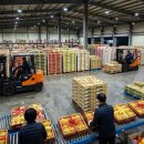 농협안성농식품물류센터 | "설 명절 밥상은 여기서 시작된다!" 오늘N 안성 농식품 물류센터 (비하인드 24)