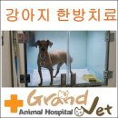 그랜드벳동물병원 이미지