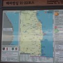 뜨란체 이미지